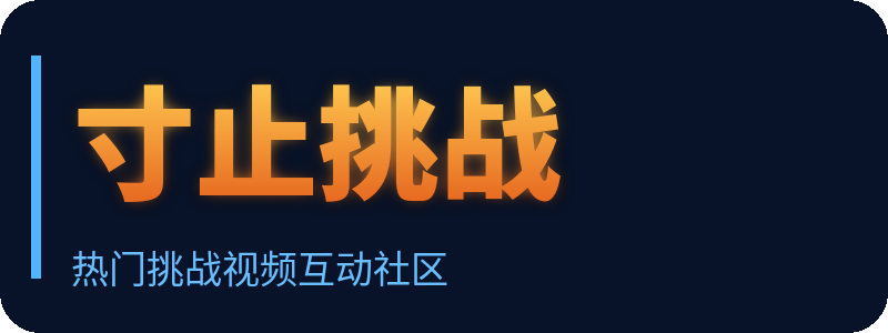 寸止挑战 Logo